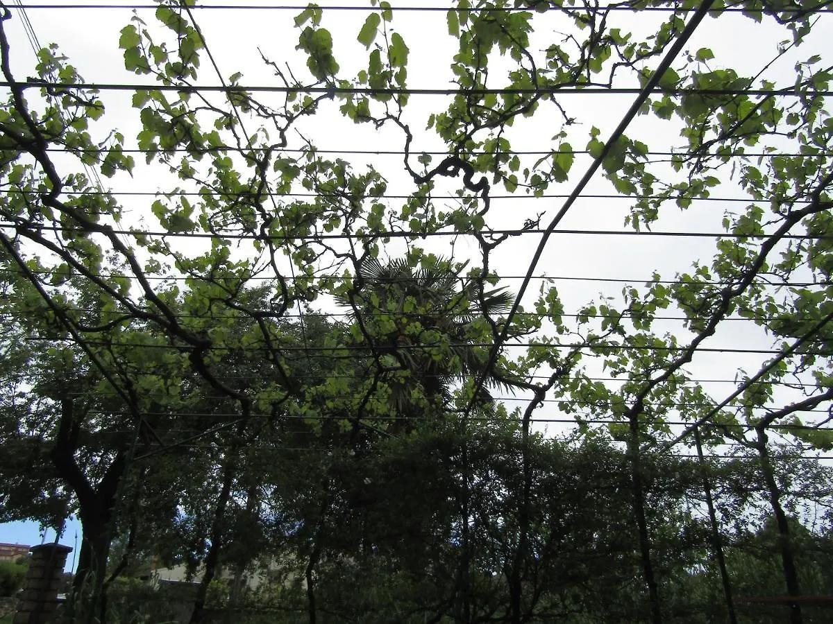 Green Gardens 2 罗维尼